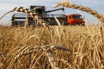 الزراعة الأمريكية: روسيا ستصبح أكبر مصدر للقمح في العام الزراعي المقبل