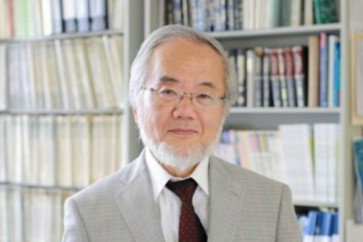أوسومي هو أستاذ في معهد طوكيو للتكنولوجيا منذ عام 2009