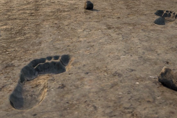 هربا من الجحيم.. اكتشاف آثار أقدام بشرية نادرة عمرها 20 ألف عام