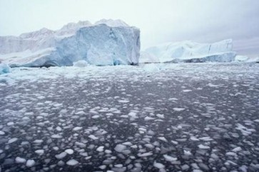 علماء يقولون إن القطب الشمالي يتعرض لتغيرات عنيفة
