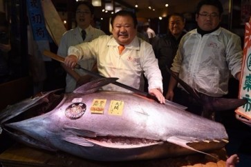 سمكة تونة عملاقة ذات زعانف زرقاء مقابل 74.2 مليون ين