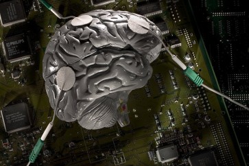 هل يمكن للإنسان العيش بدون 90% من دماغه
