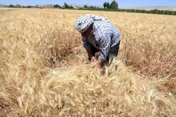 الجيش العربي السوري يحيي الحقول الزراعية