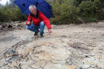 آثار "ديناصور فرنسا" تخص "وحشا هائلا"