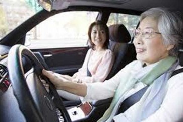 تزايد ضحايا السيارات التي يقودها كبار السن اليابانيون