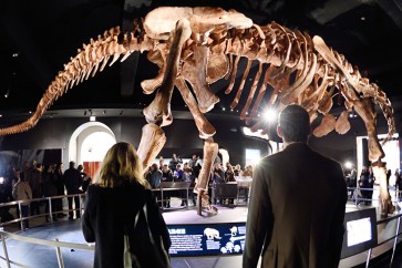 عرض ديناصور تي ريكس عمره 67 مليون عام في باريس