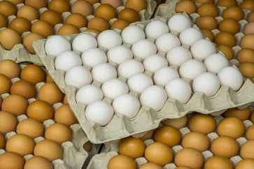ما الفرق بين البيض البني والأبيض؟