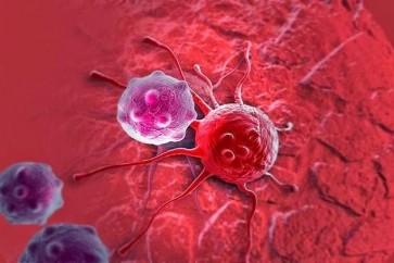 اختبار عقار جديد يوقف نمو الخلايا السرطانية