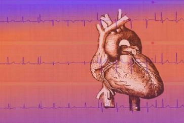المؤشرات الصحية لتسارع نبض القلب وتباطؤه