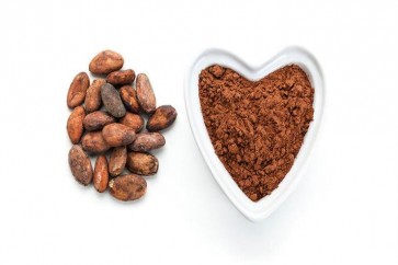 تناول الكاكاو يوميًا يحافظ على صحة القلب
