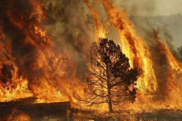 مصرع 24 شخصا على الأقل جراء حريق غابة في جنوب غرب الصين