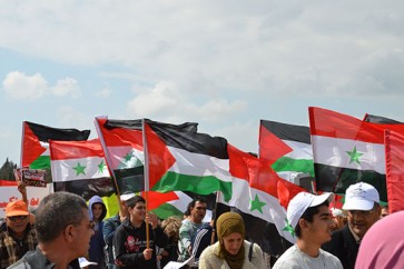 صور-العلم-السوري-3