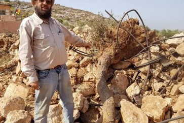 قطع اشجار الزيتون في فلسطين