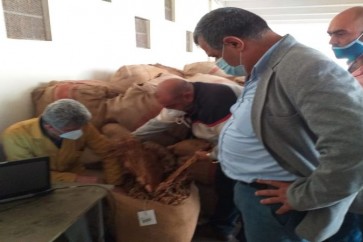 الريجي تستلم محصول التبغ من المزارعين في عكار
