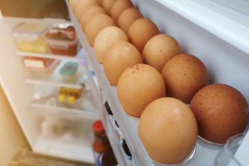Eggs Freezer