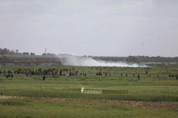 غزة 4