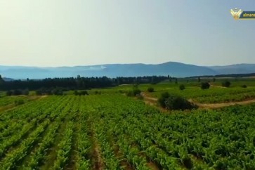 الزراعة في لبنان