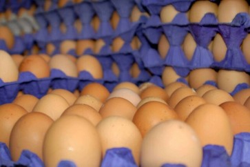 Eggs Russia