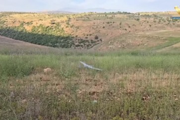 مسيرة اسرائيلية
