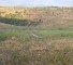 مسيرة اسرائيلية